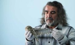 Yaban hayvanları Van'daki merkezde misafir ediliyor