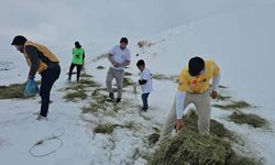 Aktivistler Süphan Dağı eteğine yem bıraktı