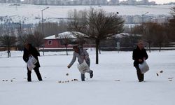 Vanlı fırıncı, sokak hayvanları ve kuşlar için doğaya yiyecek bıraktı
