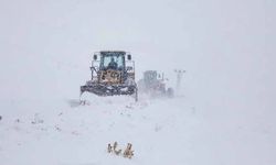 Van’da yüzlerce yerleşim yeri yolu kapandı