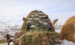 Van kırsalında zorlu yaşam