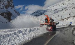 Van-Bahçesaray kara yolu 43 gündür kapalı