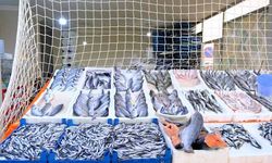 Van’da hamsi ve palamudun fiyatı düştü