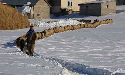 Van'da besicilerin karda zorlu mesaisi
