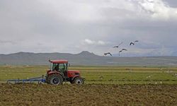 Çiftçilere 129,3 milyon liralık tarımsal destekleme ödemesi yapıldı