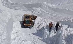 Van Bahçesaray'da mezra yoluna çığ düştü