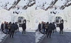 Hakkâri-Van ve Şırnak yolunda çığ alarmı
