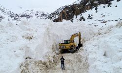 Van'da çığ düşen yol ulaşıma açıldı