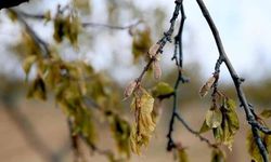 Üreticilere verilen destekler 158,55 milyar liraya yükseldi