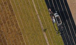 5 soruda tarıma yönelik Hazine destekli yatırım ve işletme kredileri