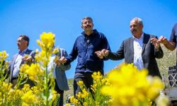 Halkın içinde olan vali, bakan yardımcısı oldu