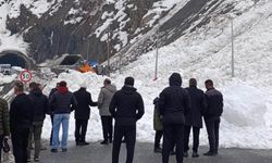 Hakkari-Van kara yoluna çığ düştü