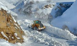 Hakkari-Van kara yollarına çığ düştü