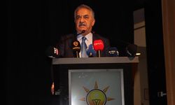 Yazıcı: Türkiye yeni anayasa yapmalı