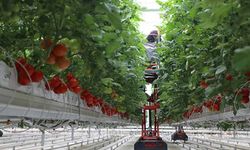 214 projeye 1,7 milyar lira hibe verilecek