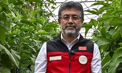 İbrahim Yumaklı: Tohum ihracatında yükseliş sürüyor