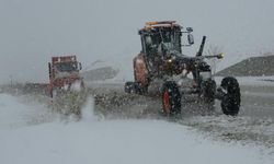 Van Kurubaş Geçidi'nde kar yağışı ve sis etkili oldu