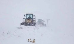 Van’da 87 yerleşim yeri yolu ulaşıma kapalı