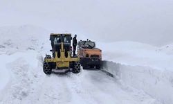 Van’da kapalı yol sayısı 8’e düştü