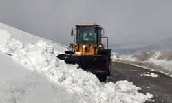 Van'da kar nedeniyle kapanan 67 yerleşim yerinin yolu açılıyor