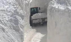 Çığ nedeniyle kapanan köy yolunda zorlu karla mücadele çalışması