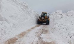 Türkiye-İran sınır hattında karla mücadele çalışması