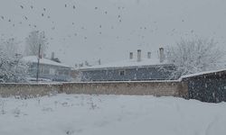 Erciş’te kar yağışı