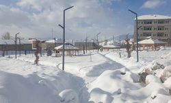 Başkale'de kar yağışı