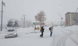 Başkale'de yoğun kar yağışı