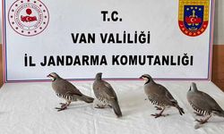 Van'da kaçak avlanmaya büyük ceza!