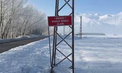 Yüksekova'da kuduz vakası