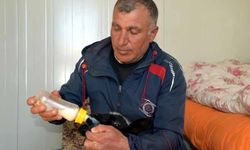 Annesi ölen 20 günlük kuzuyu evinde biberonla besliyor