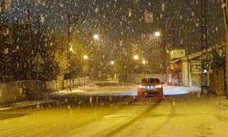 Van'da lapa lapa kar yağdı