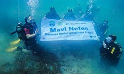 Van Gölü'nde Mavi Nefes Projesi devam ediyor