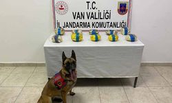 Van'da 11 kilo metamfetamin ele geçirildi