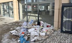 Van’da izinsiz moloz dökümüne sıkı denetim