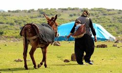 Türkiye'nin nüfusu artarken kırsalda yaşayanların nüfusu azalıyor