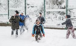 Van'ın 3  ilçesinde okullar tatil edildi