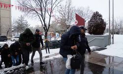 Van dahil 29 ilde siber operasyonda 56 tutuklama