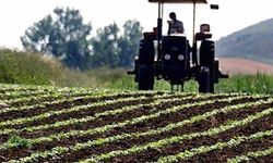Çiftçilere bugün tarımsal destekleme ödemesi yapılacak