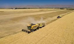 TKDK tarafından yatırımcılara 3,1 milyar lira destek