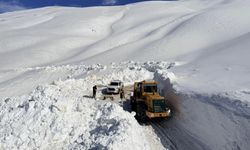 Van'da 3 bin 300 rakımda yol açma seferberliği
