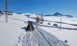 Van’da 49 yol yeniden ulaşıma açıldı