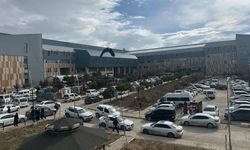 Uzmanından Vanlı ailelere önemli uyarı!