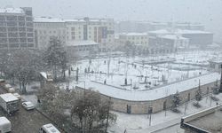 Van’da önce yağmur sonra lapa lapa kar yağışı