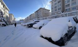 Bahar beklenirken Van'a kar geri döndü