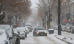 Van için kar yeniden gözüktü! Meteoroloji tarih verdi