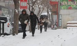Meteoroloji’den Van için kar ve çığ uyarısı