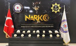 Son dakika! Van’da 17 tutuklama