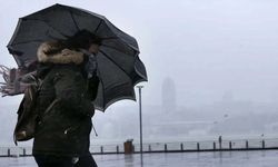Van’da yağmur ve rüzgâr etkili olacak